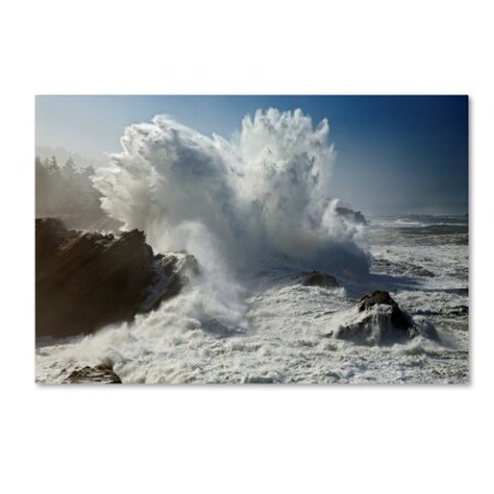 Mike Jones Photo 'Oregon Shore Acres SP Wave' Canvas Art,22x32